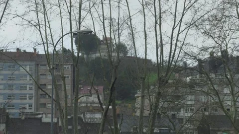 Tree Branches Without Leaves In Ourense With Buildings At The Background Video stock 328709547