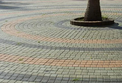 Tree with brick Stock Photos