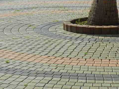 Tree with brick Stock Photos