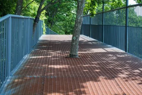 Tree on the bridge. Foto stock