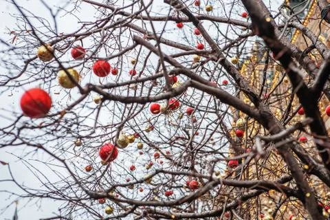 Tree with bright red and yellow balls. Stock Photos