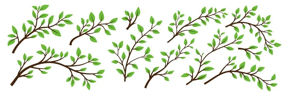 Tree Brunch Icon Set Isolated. Flat Cartoon Simple Twig with Green Leaves Stock Illustration