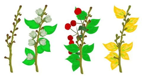 Tree bud isolated illustration Stock Illustration