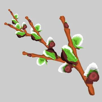Tree buds isolated illustration Illustrazione stock