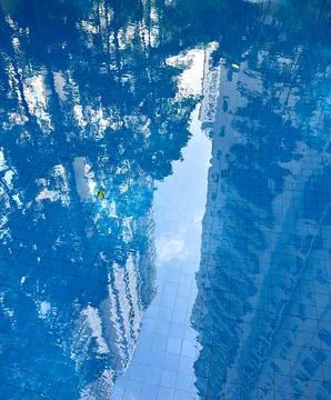 Tree, building, and sky reflection on pool water Fotos de archivo