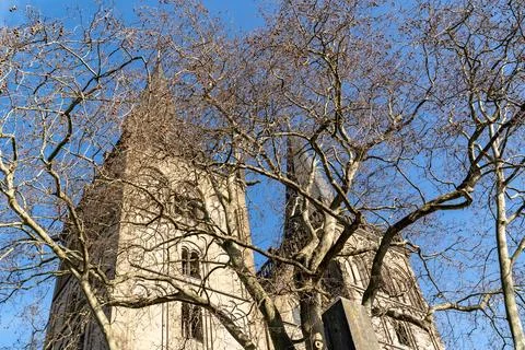 A tree with a building in the background Stock Photos