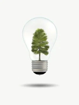 Tree in bulb Stock Photos