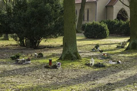 Tree burials are becoming increasingly popular Stock Photos