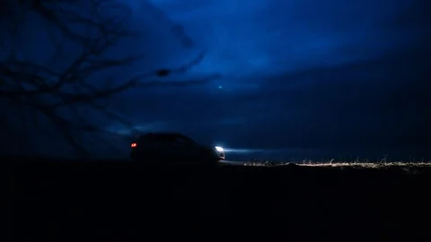 The tree is burning in a forest fire 스톡 동영상 128840994