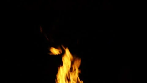 A tree burning at night 100fps, firewood burns at night in a bonfire 100fps.  Fi Stock Footage 131502015