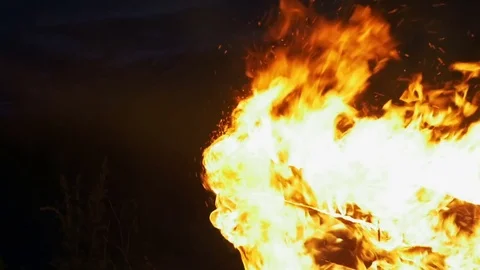 Tree burns with bright fire Stock Footage 82406726