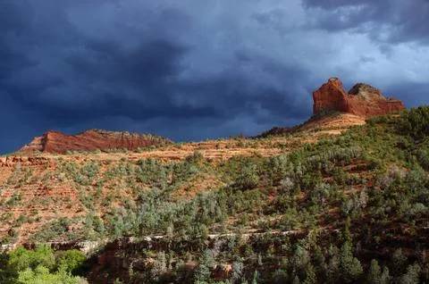 Tree bush cloud dark evening mountain park red Foto stock