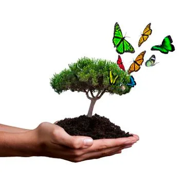 Tree with butterflies Stock Illustration
