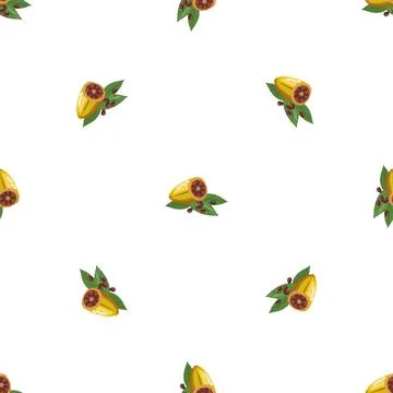 Tree cacao fruit pattern seamless vector Illustrazione stock