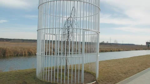 Tree In A Cage Stock Footage 151435501