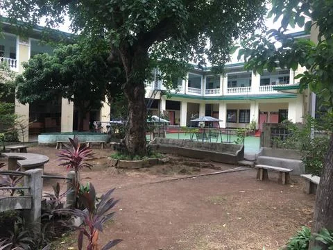 Tree in campus Stock Photos