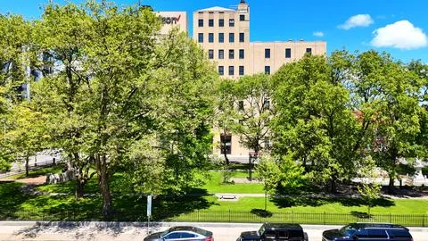 Tree Canopies - Syracuse, NY Fotos Stock