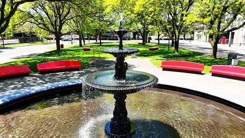 Tree Canopies - Syracuse, NY Stock-Fotos