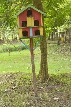 Tree canopy reflections over quiet lake 库存照片