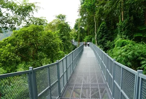 Tree Canopy Walkway, The Iron Bridge in the tropical forest at Queen Sirikit Stock Photos