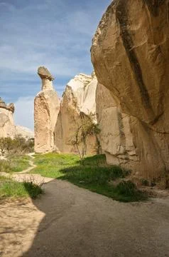 A Tree in Cappadocia's Valley Stock Photos