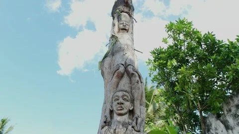 Tree carving Art Stock Footage 162773097