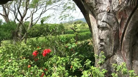 Tree carving part 2 Stock Footage 11316124