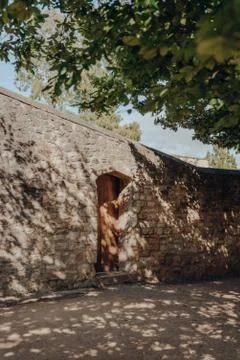 Tree casting a shadow on a stone wall, Oxford, UK, on a sunny summer day. Stock Photos