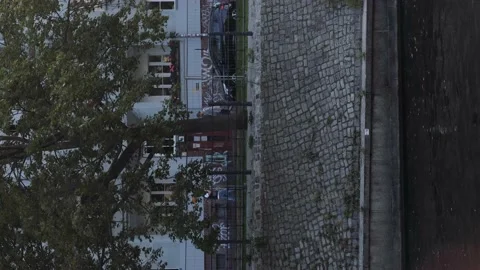 Tree at the channel 库存影片 139309005