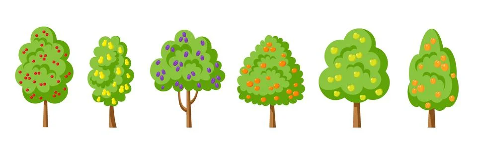 Tree cherry apple pear orange plum peach apricot Stock Illustration