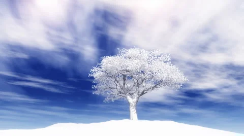 Tree - cherry tree - winter Stock Footage 1089496