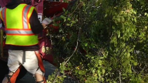 Tree chipper shredder Stock Footage 98657712