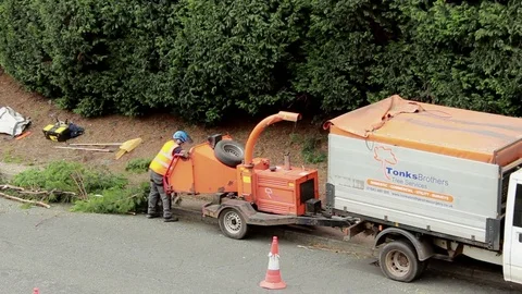Tree chipper/ woodchipper machine. Co-workers chipping tree limbs and trunks Stock Footage 76525231