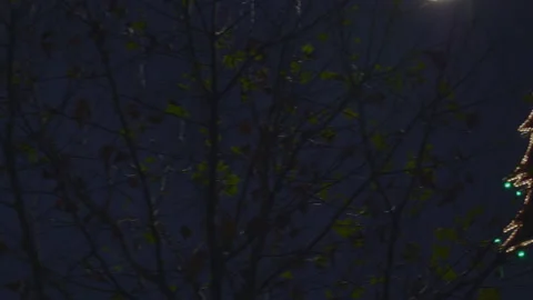 Tree chirstmas shaped light Stock Footage 145550300