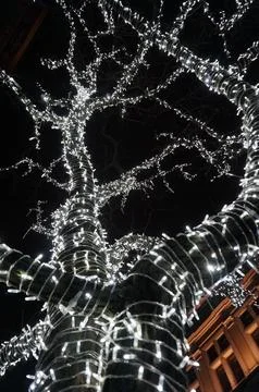 Tree with christmas lights Stock Photos