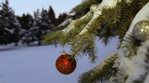 Tree. Christmas. The occasion. Winter Stock Footage 70323760