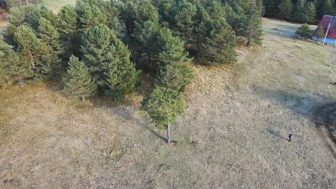 Tree circling Stock Footage 143292359
