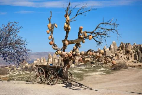 Tree with clay pots 写真素材