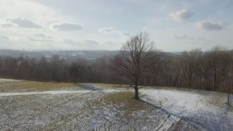 Tree in the clearing with the view on church2 Video stock 84801196