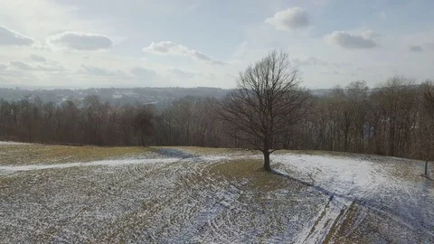 Tree in the clearing with the view on church3 Video stock 84802602