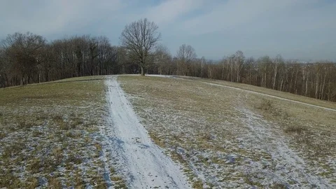 Tree in the clearing3 Video stock 84796384