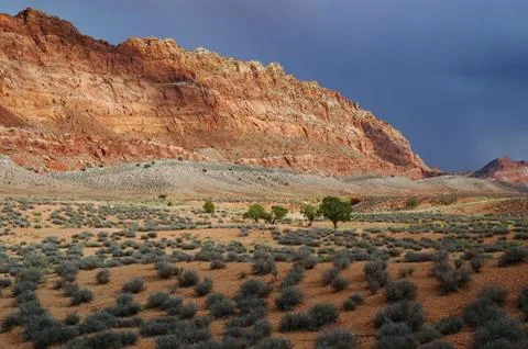 Tree cliff cloud dark desert isolated red shadow Stock Photos