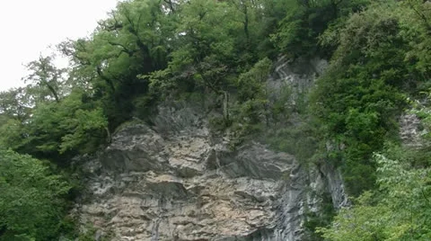 Tree on a cliff Stock-Footage 27119668