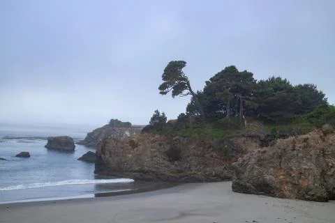 Tree on a cliff by the ocean Stock Photos