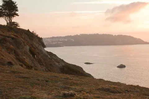 Tree on Cliff Stock Photos