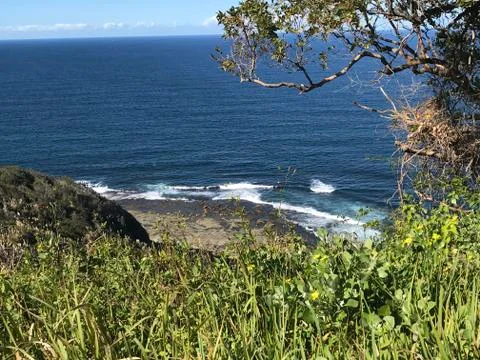 Tree on cliff Foto stock