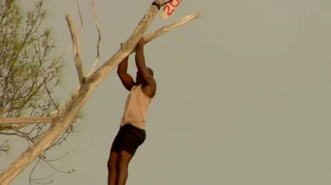 Tree Climber in Negril Jamaica Pullups Stock Footage 22159923