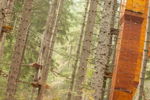 Tree climbing long an equipped route inside a n Italian woods in Dolomites, I Stock Photos