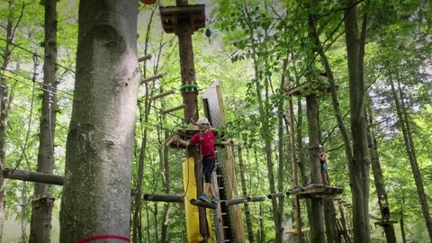 Tree climbing park Stock Footage 79062885