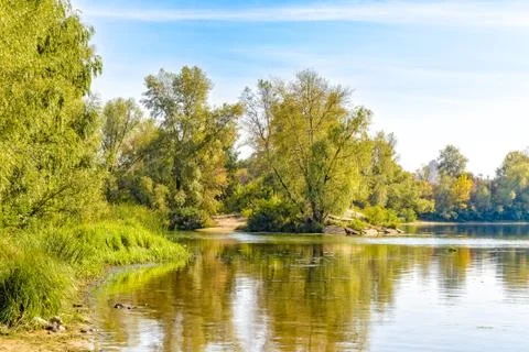 Tree close to the river 写真素材